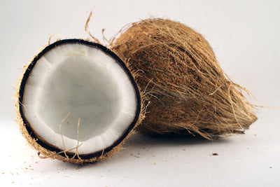 ¿Qué es lo bueno de la extracción de aceite de coco?