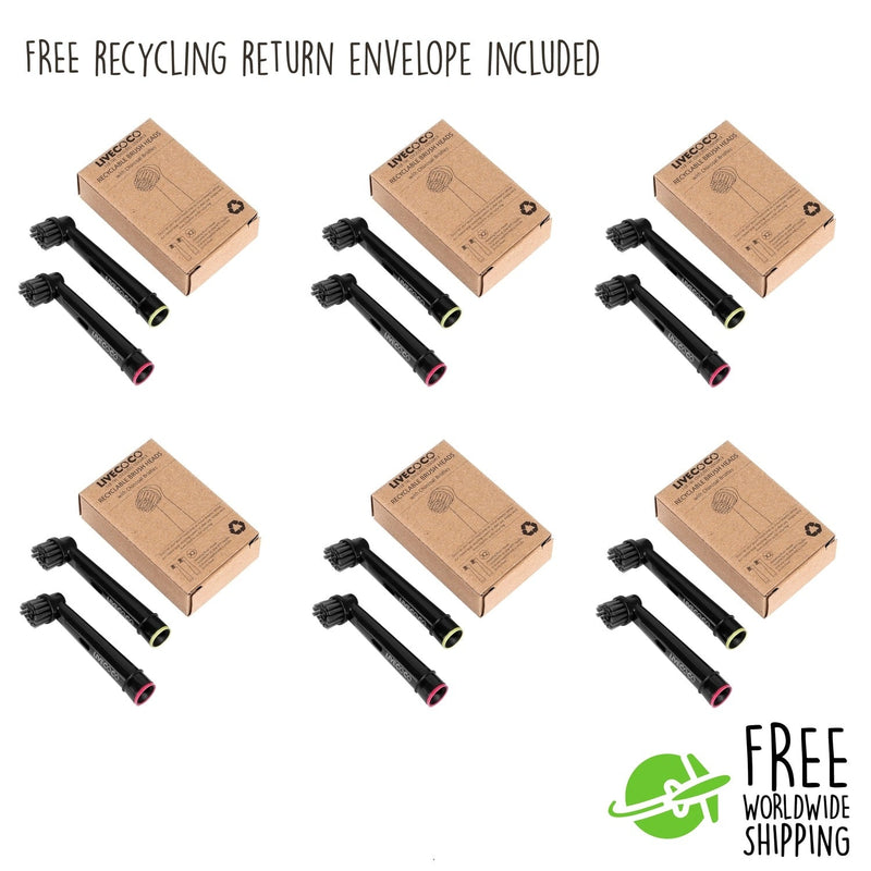 LiveCoco™ Recyclable Toothbrush Heads + FREE GIFT TODAY