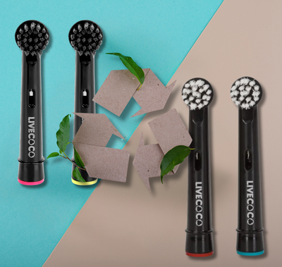 What Is The Most Eco-Friendly Toothbrush? 