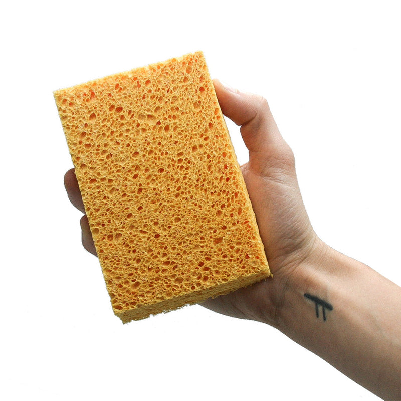 Compostable Cellulose Sponges - Pack of 2