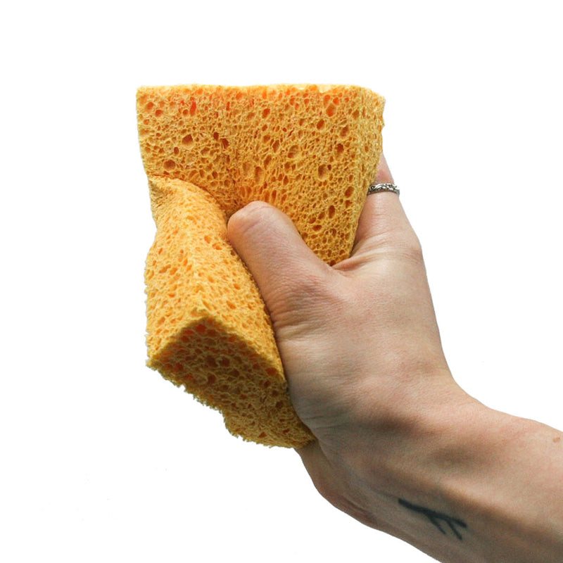 Compostable Cellulose Sponges - Pack of 2