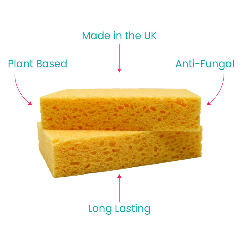 Compostable Cellulose Sponges - Pack of 2