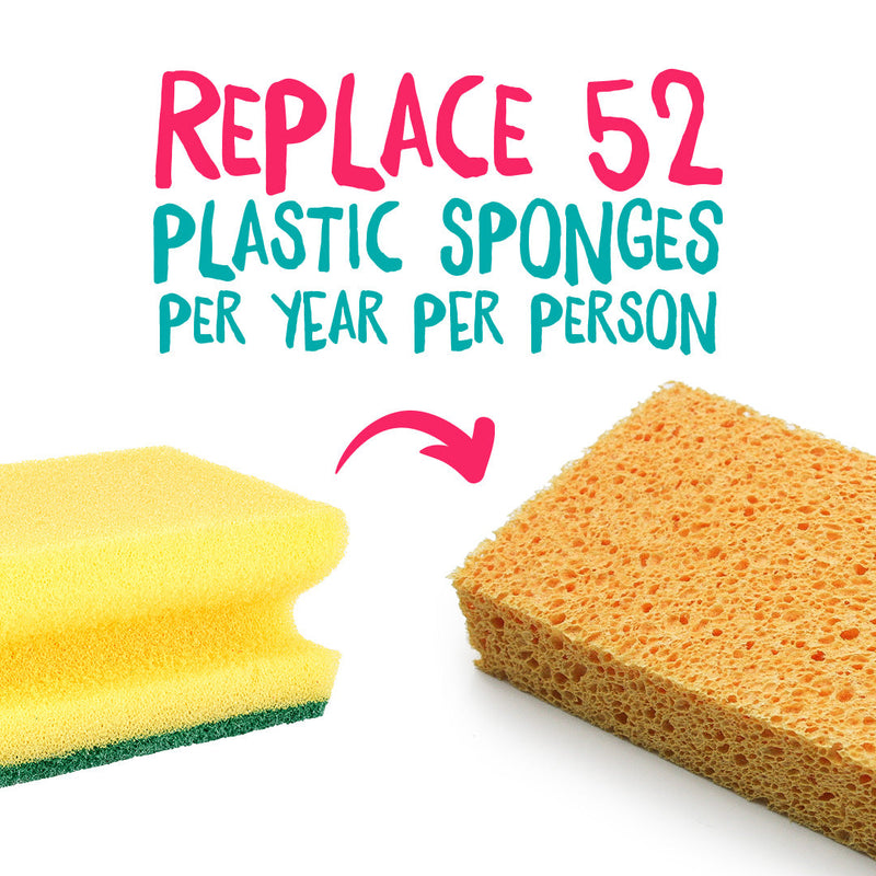 Compostable Cellulose Sponges - Pack of 2