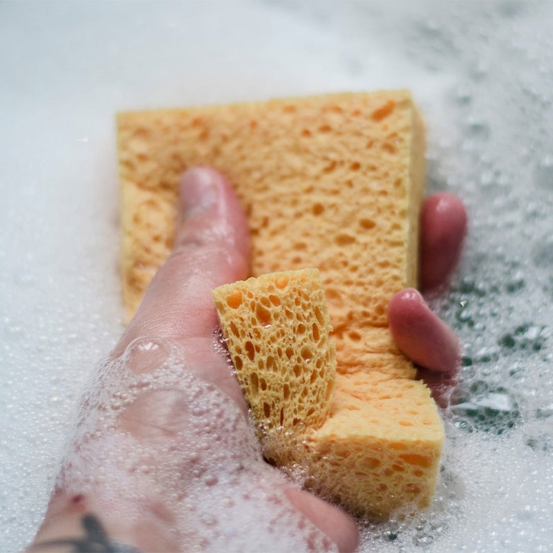 Compostable Cellulose Sponges - Pack of 2