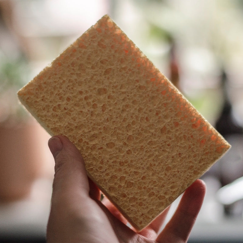 Compostable Cellulose Sponges - Pack of 2