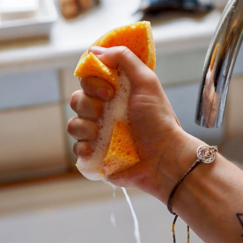 Compostable Cellulose Sponges - Pack of 2