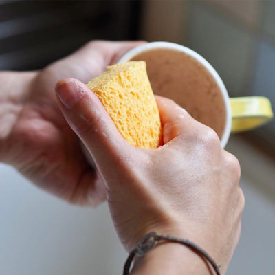 Compostable Cellulose Sponges - Pack of 2