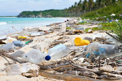 Plastic pollution