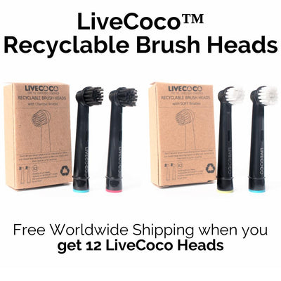 LiveCoco™ Recyclable Toothbrush Heads