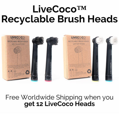 LiveCoco™ Recyclable Toothbrush Heads + FREE GIFT TODAY